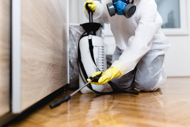 Best Local Pest Control Services  in Angwin, CA