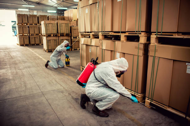 Best Pest Control Near Me  in Angwin, CA