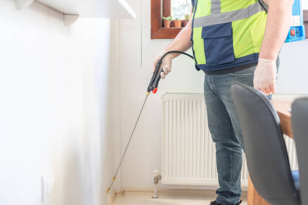 Best Wasp Removal Services  in Angwin, CA