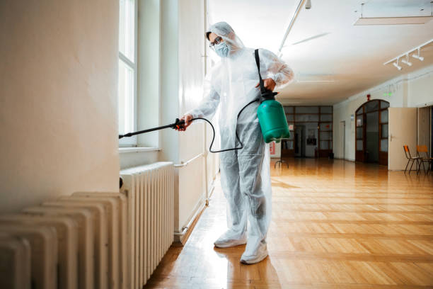 Best Flea Control Services  in Angwin, CA