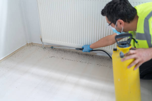 Best Commercial Pest Control Services  in Angwin, CA